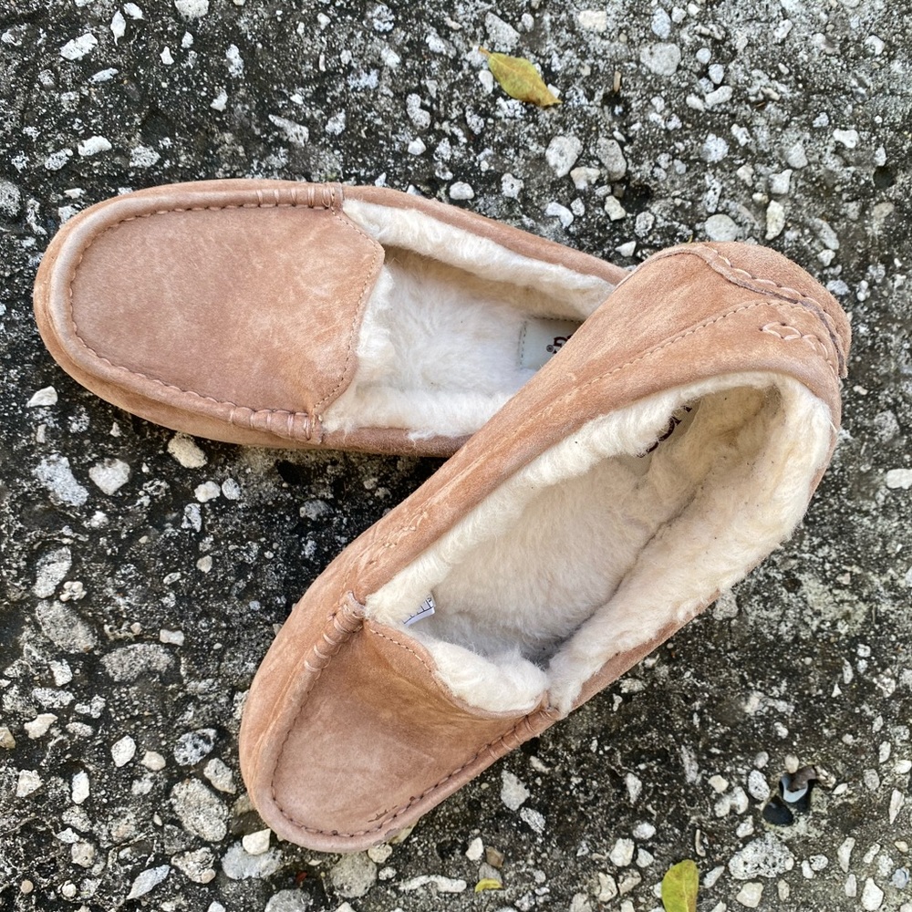 Ugg slip on slippers